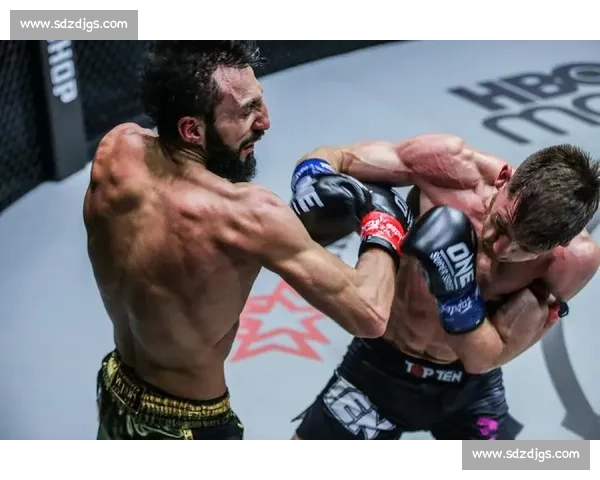 阿拉佐夫vs科尔巅峰对决揭示自由搏击新王之路世界级荣耀未来格局