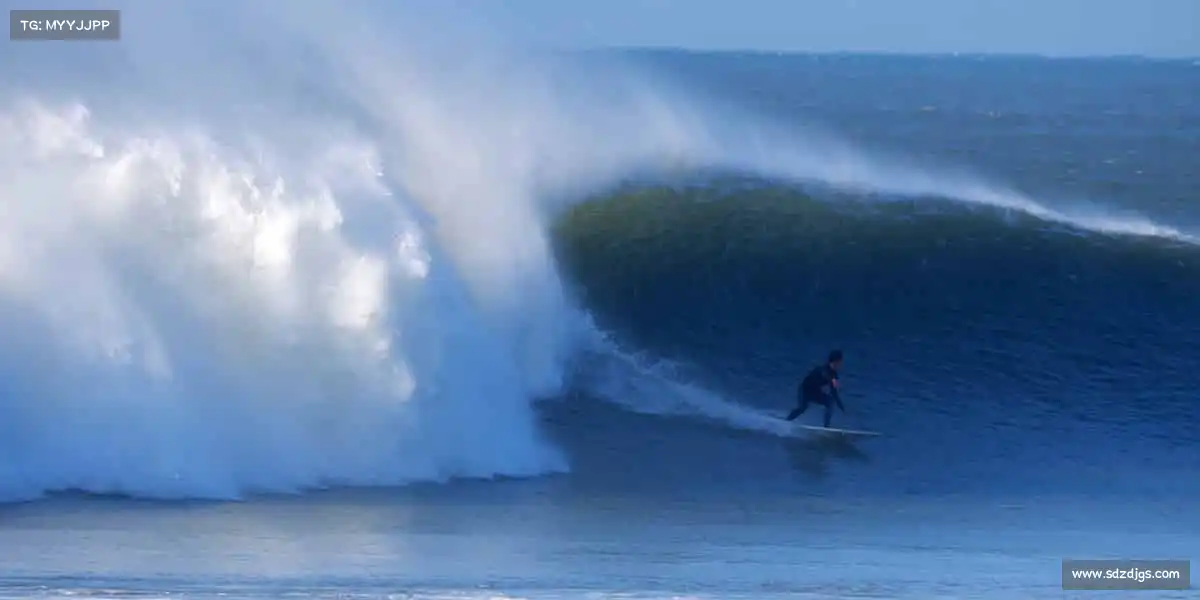 <strong>UED</strong>🏋️♀️挑战自我极限，汗水铸就闪耀舞台！